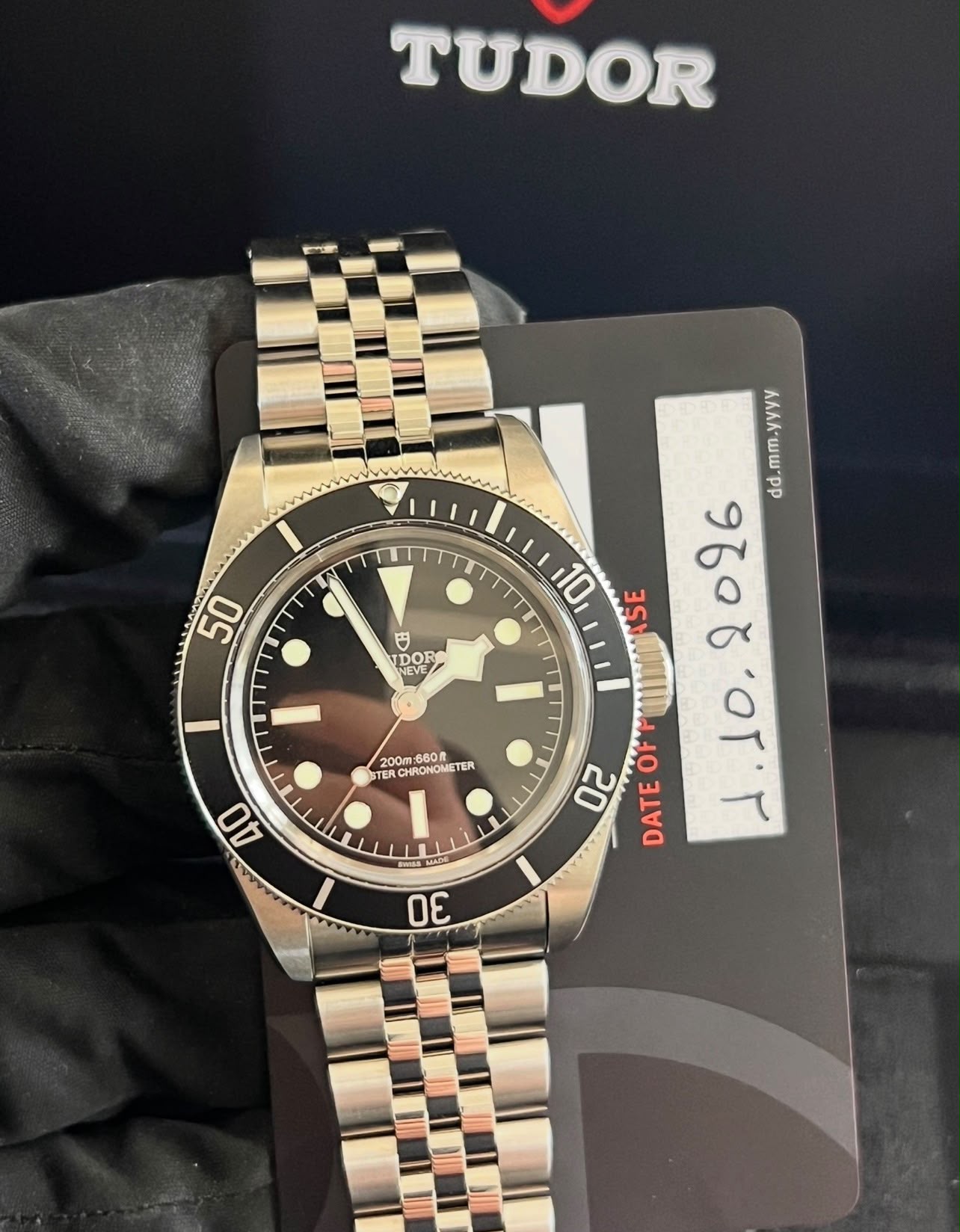 Tudor Black Bay