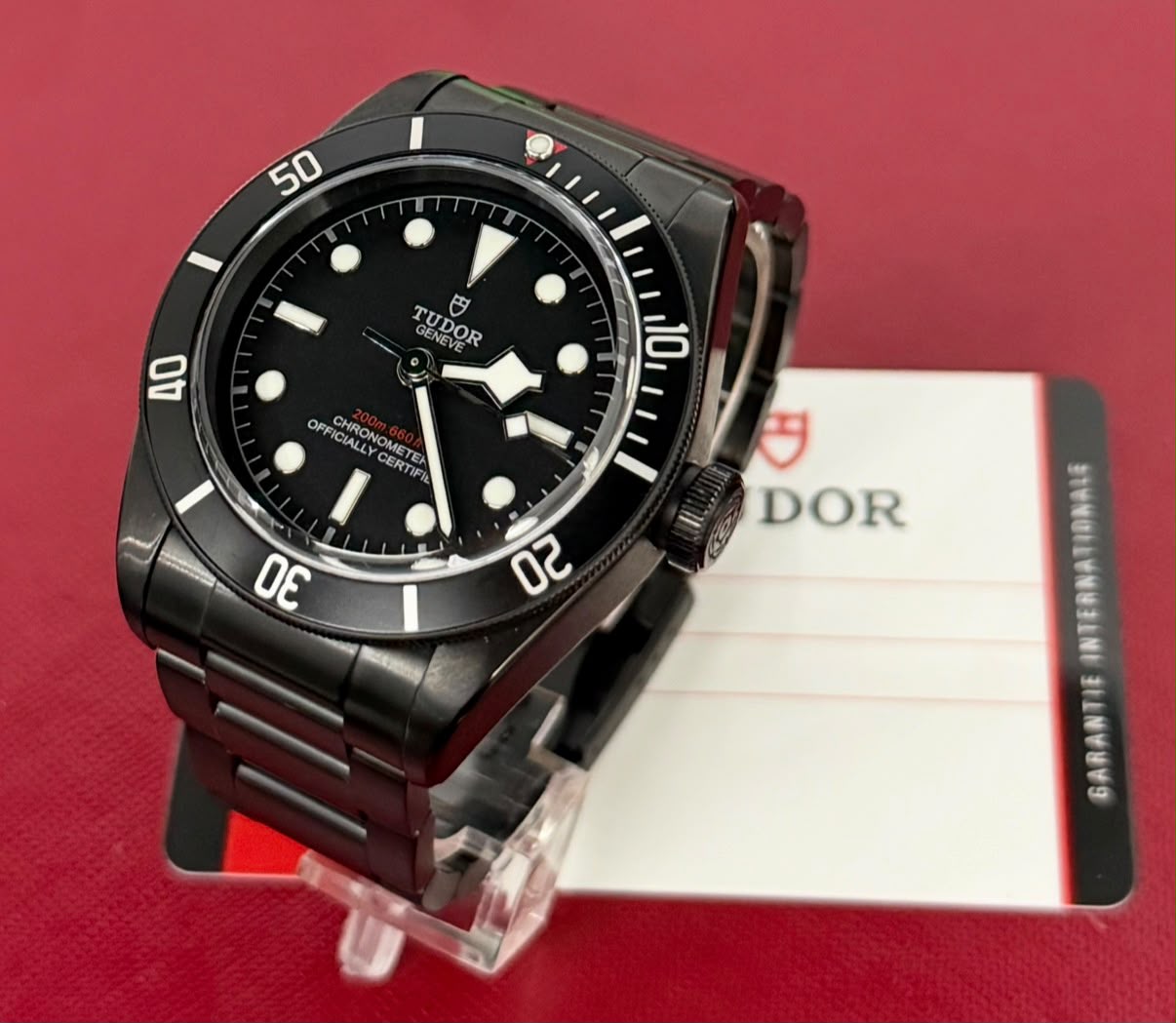 Tudor Black Bay