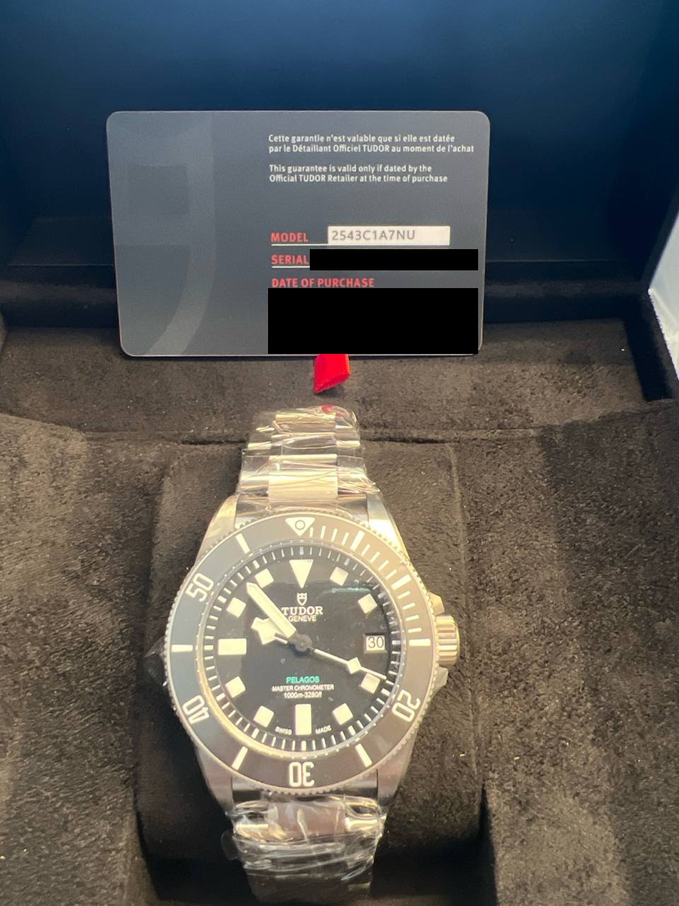 Tudor